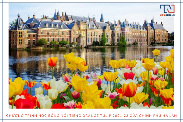 Hướng Nghiệp KeySkills- Chương trình học bổng nổi tiếng Orange Tulip 2021-22 của chính phủ Hà Lan