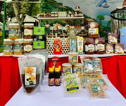 Cung Cấp Sỉ & Lẻ Đường Thốt Nốt – Nguyên Chất, Giá Tốt