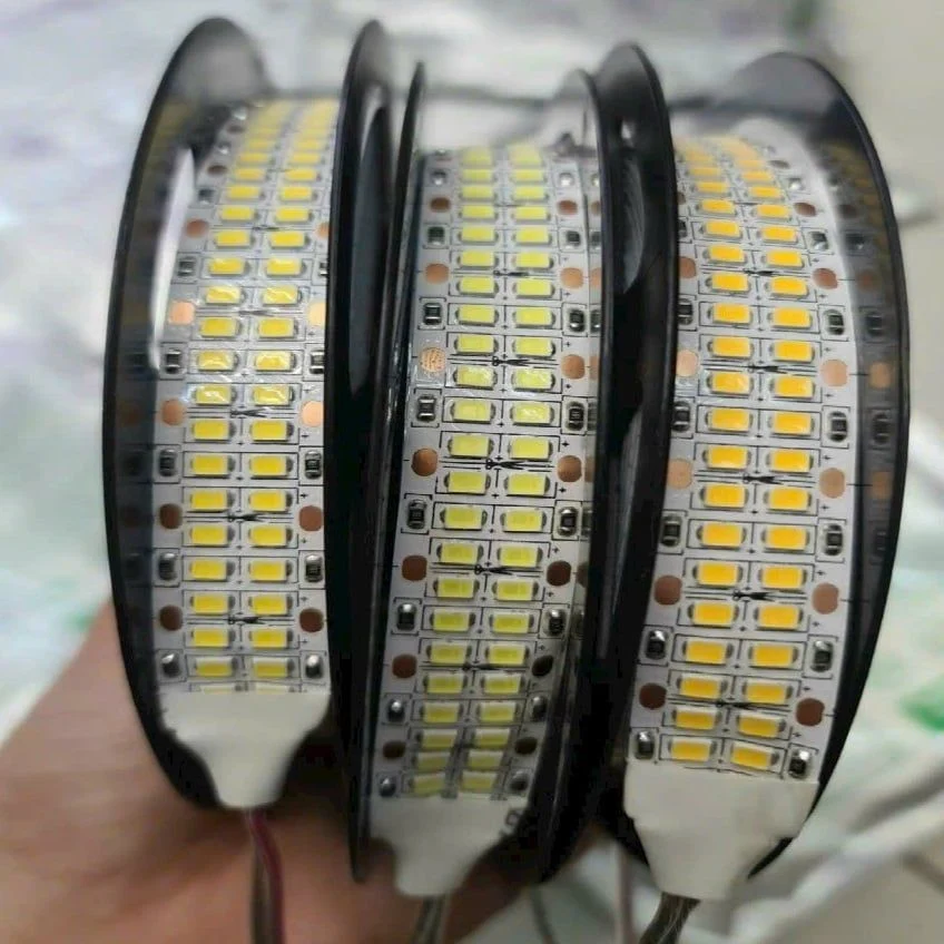 Led dây tại HCM - Cung cấp đa dạng mẫu mã, đáp ứng mọi nhu cầu