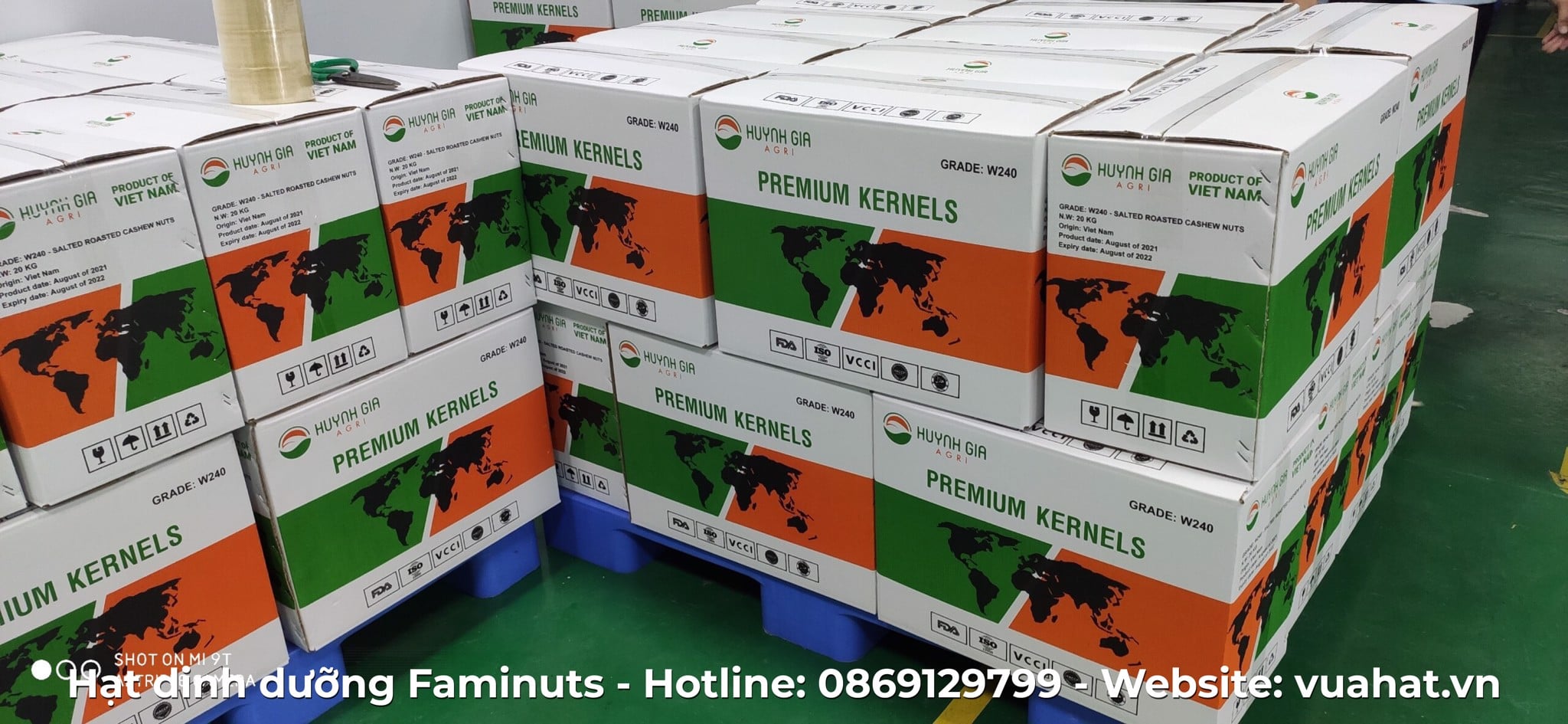 GẦN 10 TẤN HẠT ĐIỀU FAMINUTS VƯỢT BÃO COVID VÀO THỊ TRƯỜNG QUỐC TẾ