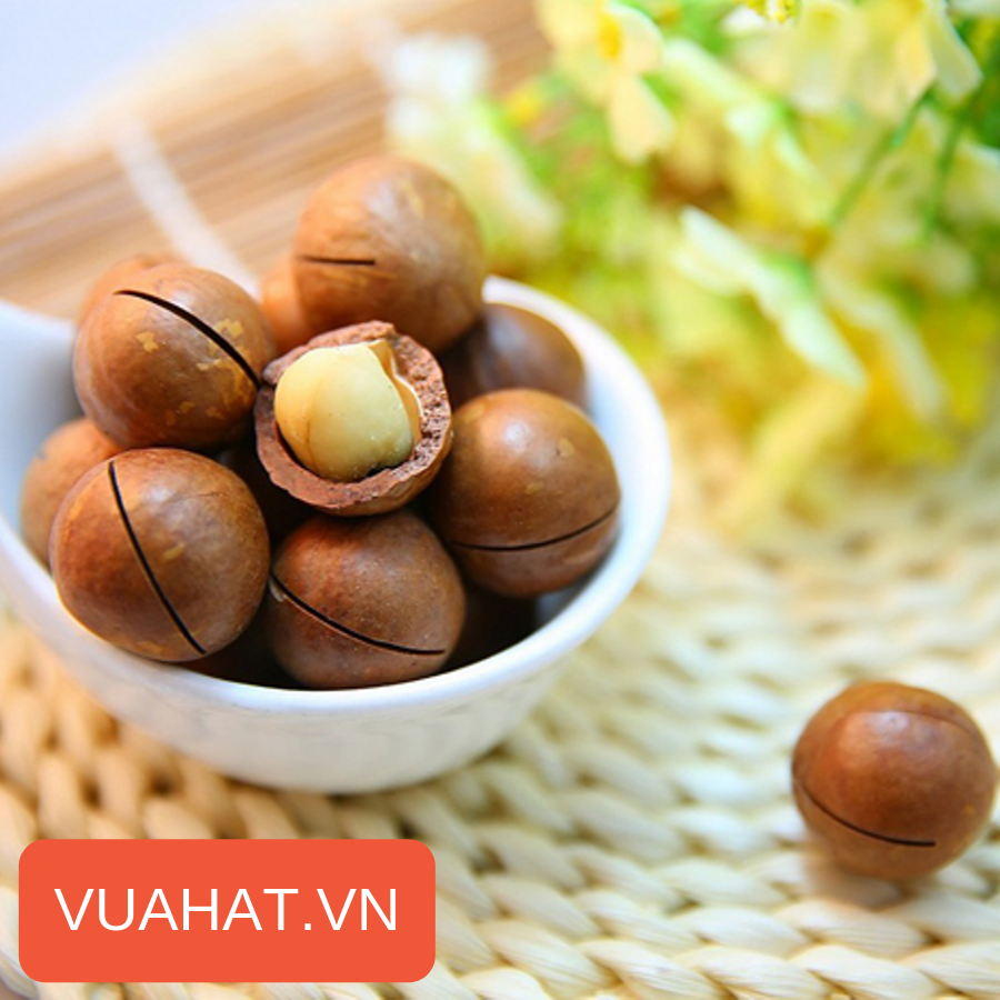 Lợi ích của hạt Macca (mắc ca) đối với cơ thể