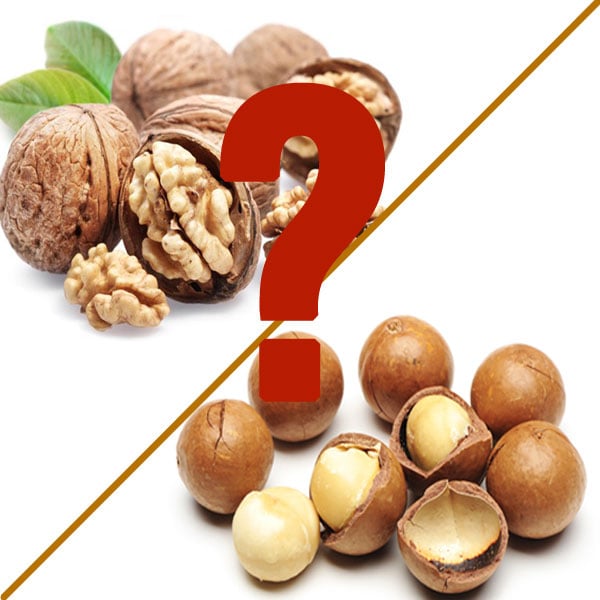So sánh hạt óc chó và macca cái nào tốt hơn?