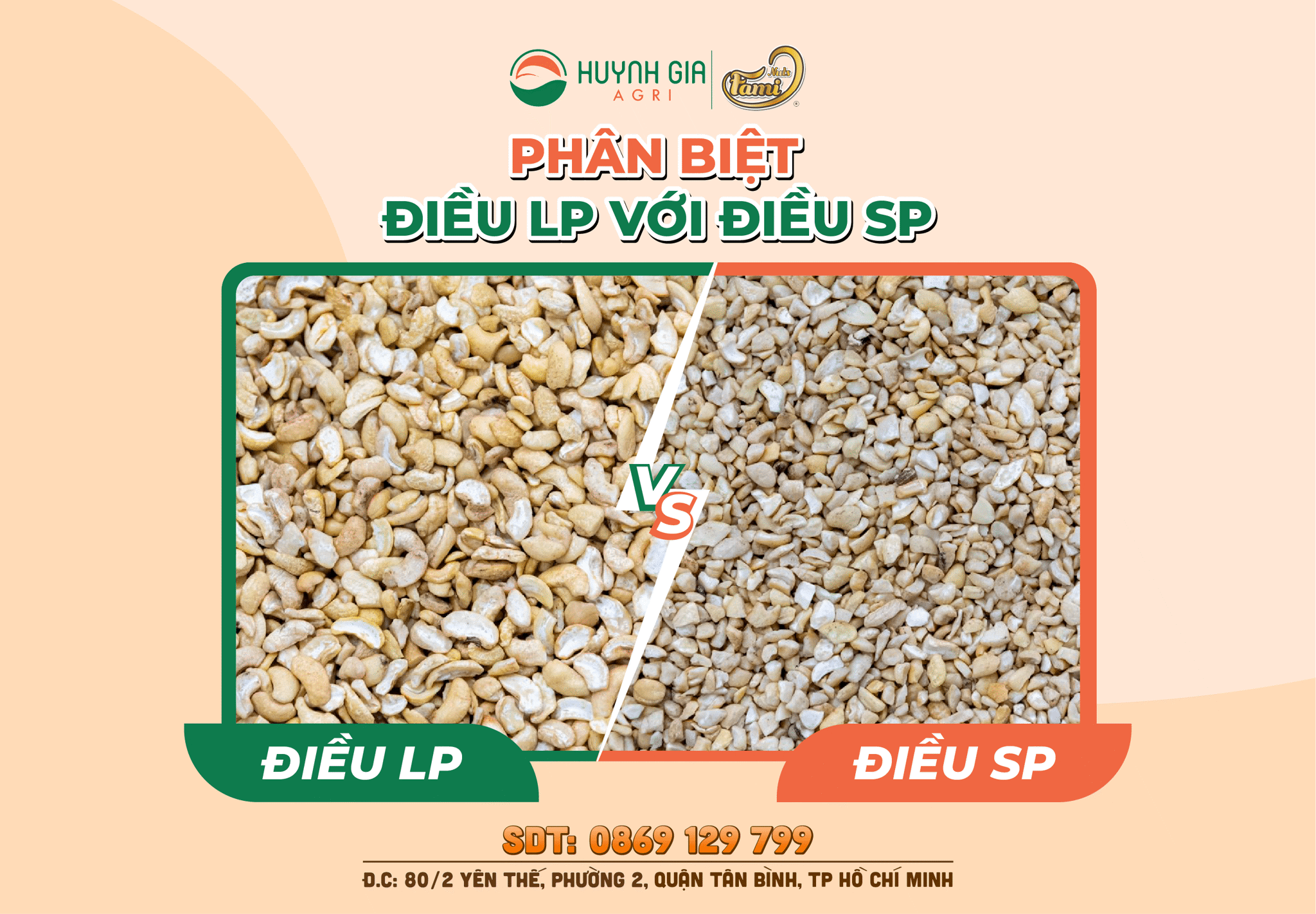 So sánh Hạt điều LP và Hạt điều SP: Đặc điểm, Giá thành và Công  dụng