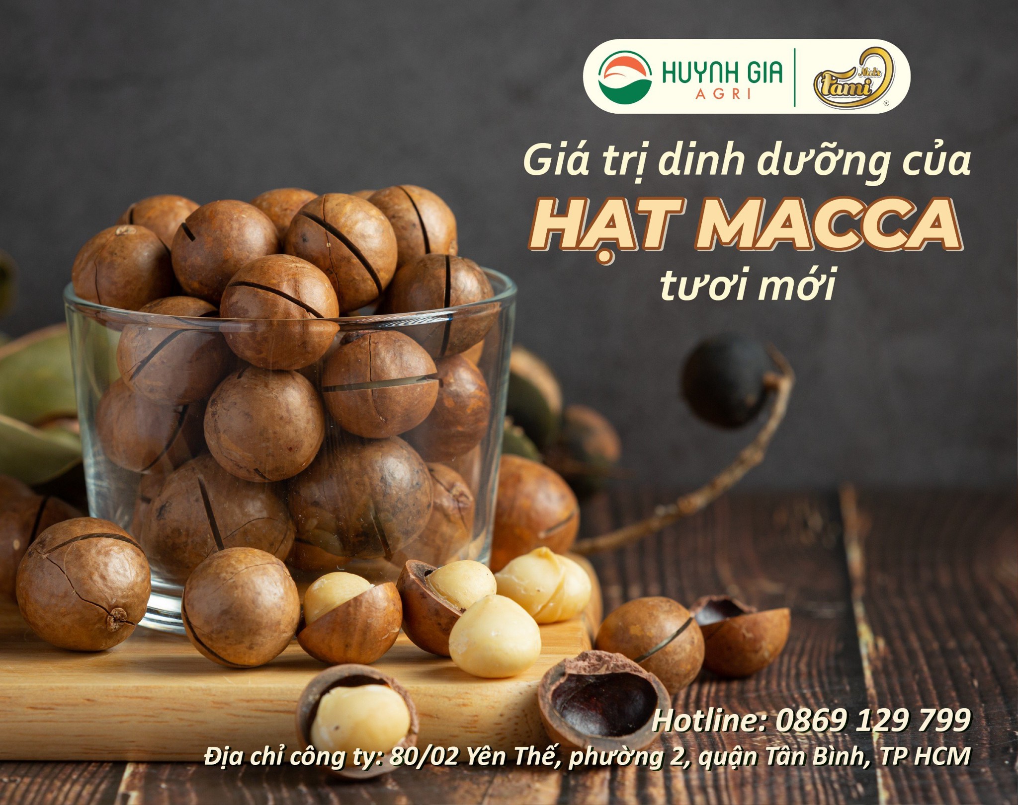 GIÁ TRỊ DINH DƯỠNG CỦA HẠT MACCA TƯƠI MỚI