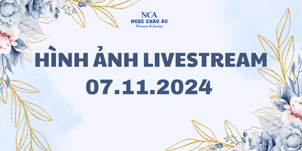 Hình Ảnh Livestream Ngày 07.11.2024