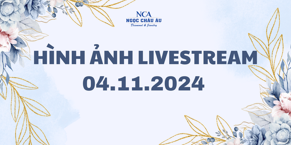 Hình Ảnh Livestream Ngày 04.11.2024