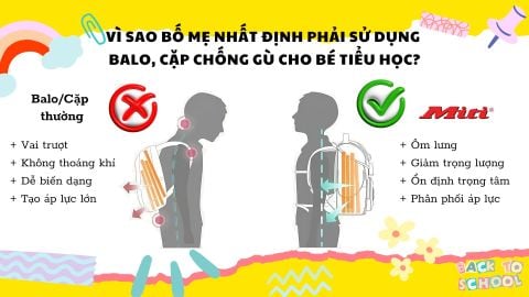 Vì sao bố mẹ nhất định phải sử dụng balo, cặp chống gù cho bé tiểu học?