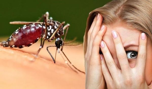 (Biết rõ được những nguyên nhân khiến bạn thu hút muỗi sẽ giúp tìm được cách chống muỗi đốt hiệu quả, nhanh chóng)
