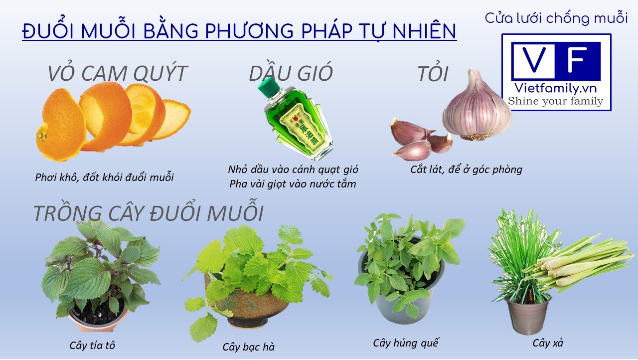 (Những cách chống muỗi đốt bằng phương pháp tự nhiên có thể áp dụng)