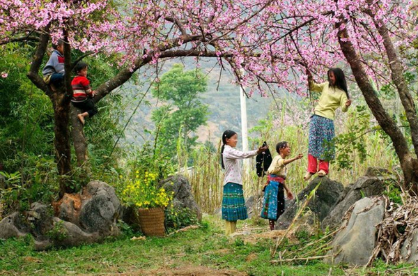 Cảnh đẹp Sapa ngỡ ngàng làm say đắm khách du lịch