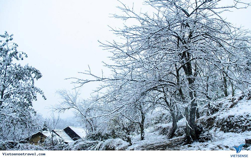 Thời tiết Sapa mùa đông có gì đặc biệt?