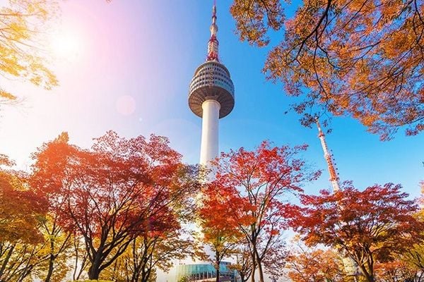 Toà tháp Namsan cao nhất Seoul Hàn Quốc có gì hấp dẫn?