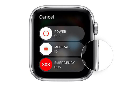Cách khởi động lại Apple Watch khi bị treo hoặc không cài đặt được phần mềm
