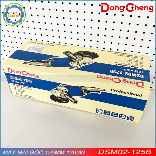Hình ảnh thực tế Máy mài dongcheng DSM02-125B