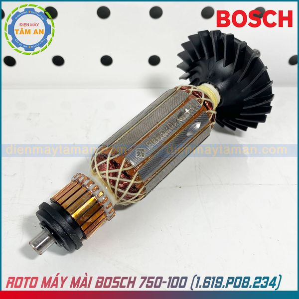 Hình ảnh thực tế Roto chính hãng BOSCH GWS 750-100