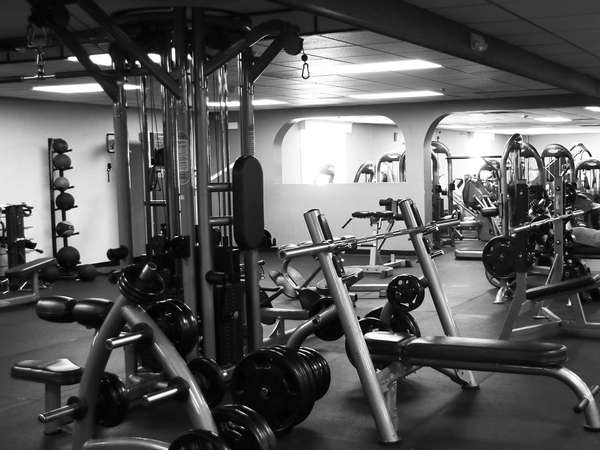 Kinh nghiệm chọn mua ghế tập tạ đa năng chất lượng mà phù hợp đúng với nhu cầu