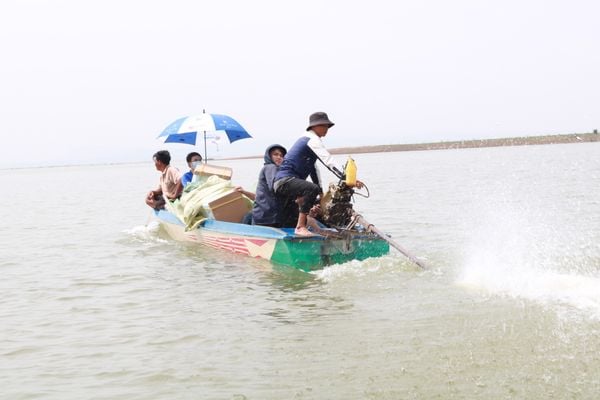 Hành trình Qui Phúc thực hiện dự án "Gieo chữ gặt yêu thương" tại hồ Trị An