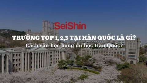 TRƯỜNG TOP 1 TOP 2 TOP 3 TẠI HÀN QUỐC LÀ GÌ? CÁCH SĂN HỌC BỔNG DU HỌC HÀN QUỐC