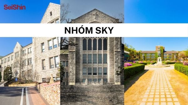 Trường nhóm SKY