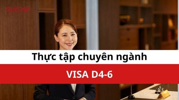 Thực tập chuyên ngành - Visa D4-6