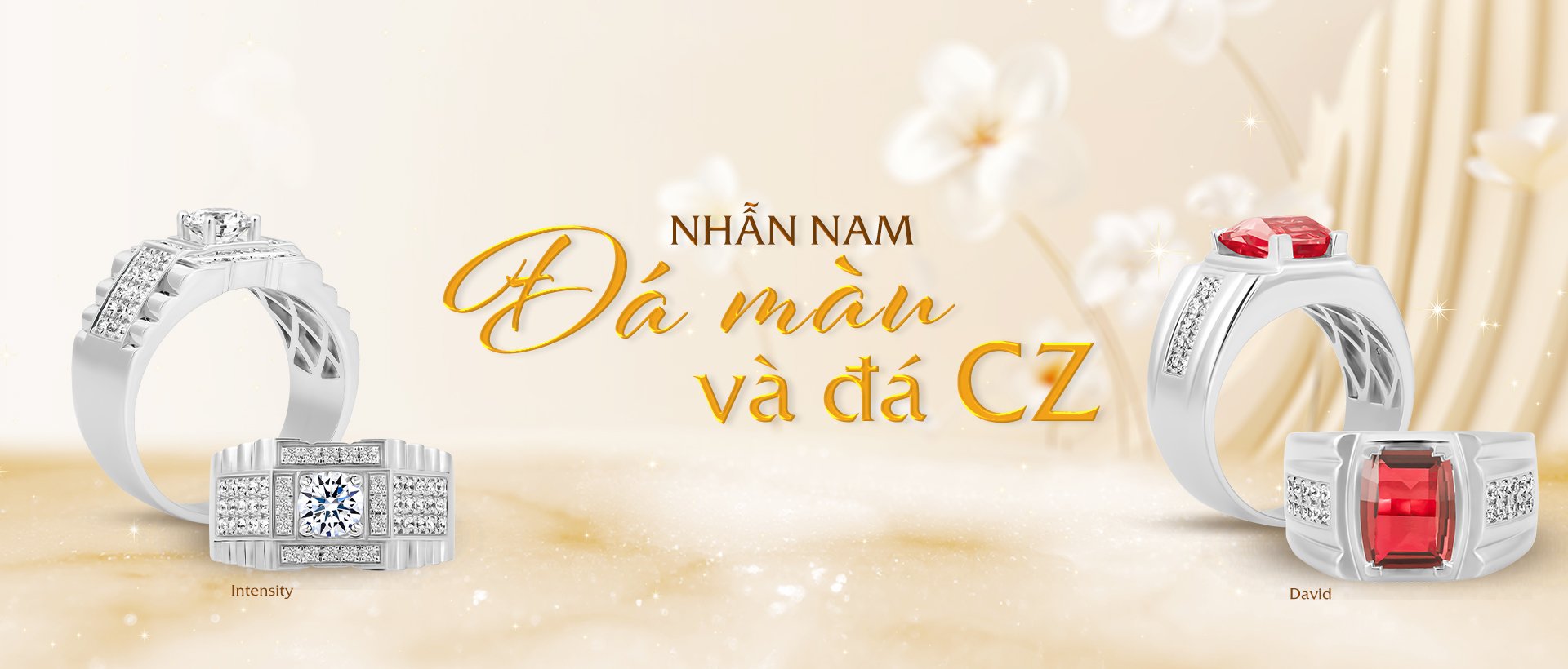 Nhẫn Nam Đính Đá CZ Và Đá Màu