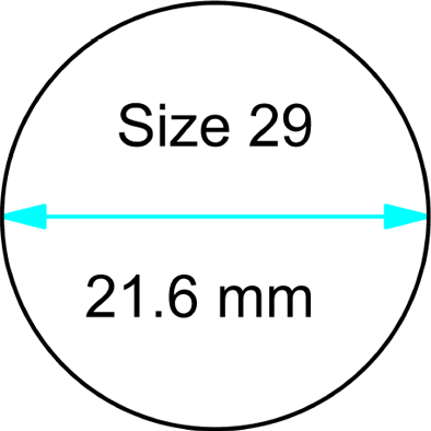 size 29