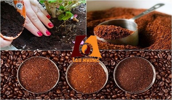 Một số công dụng của bã cà phê
