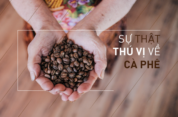 9  SỰ THẬT THÚ VỊ VỀ CÀ PHÊ CÓ THỂ BẠN CHƯA BIẾT