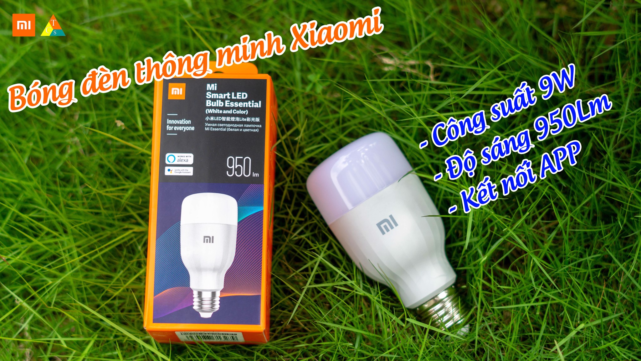 Bóng đèn LED nhiều màu thông minh Xiaomi Essential MJDPL01YL quốc tế