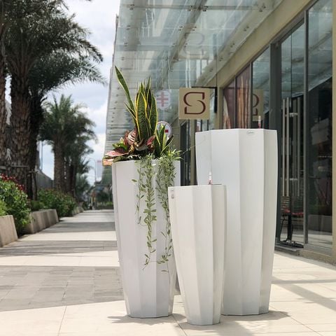 Công dụng và lợi ích khi sử dụng Chậu trồng cây tự dưỡng - Chậu trồng cây thông minh - Chậu trồng cây tự tưới