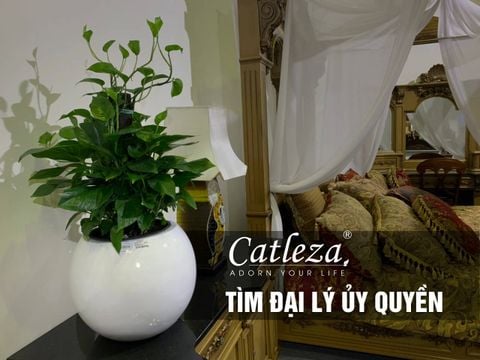 chính sách đại lý