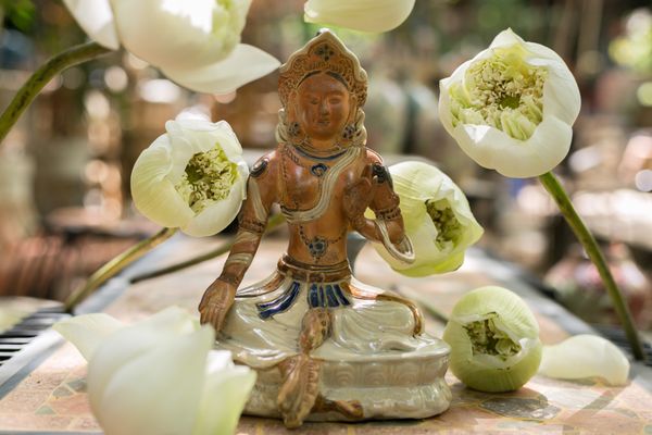 Chuyện về Đức Lục Độ Phật Mẫu Tara và hoa hồng trong tủ kính