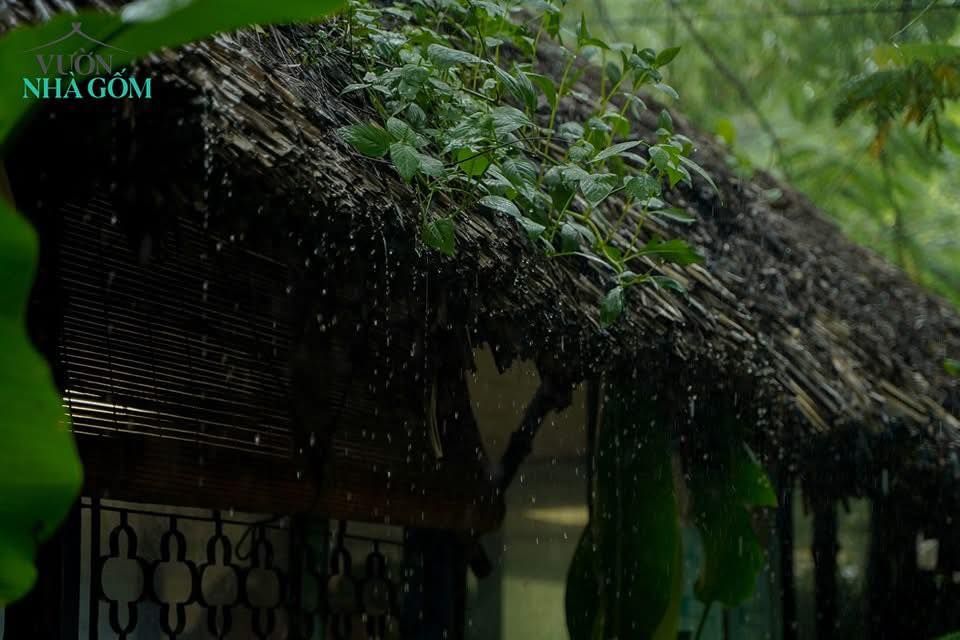 Lái Thiêu giờ cũng là Sài Gòn nên mưa chẳng khác Sài Gòn là mấy!