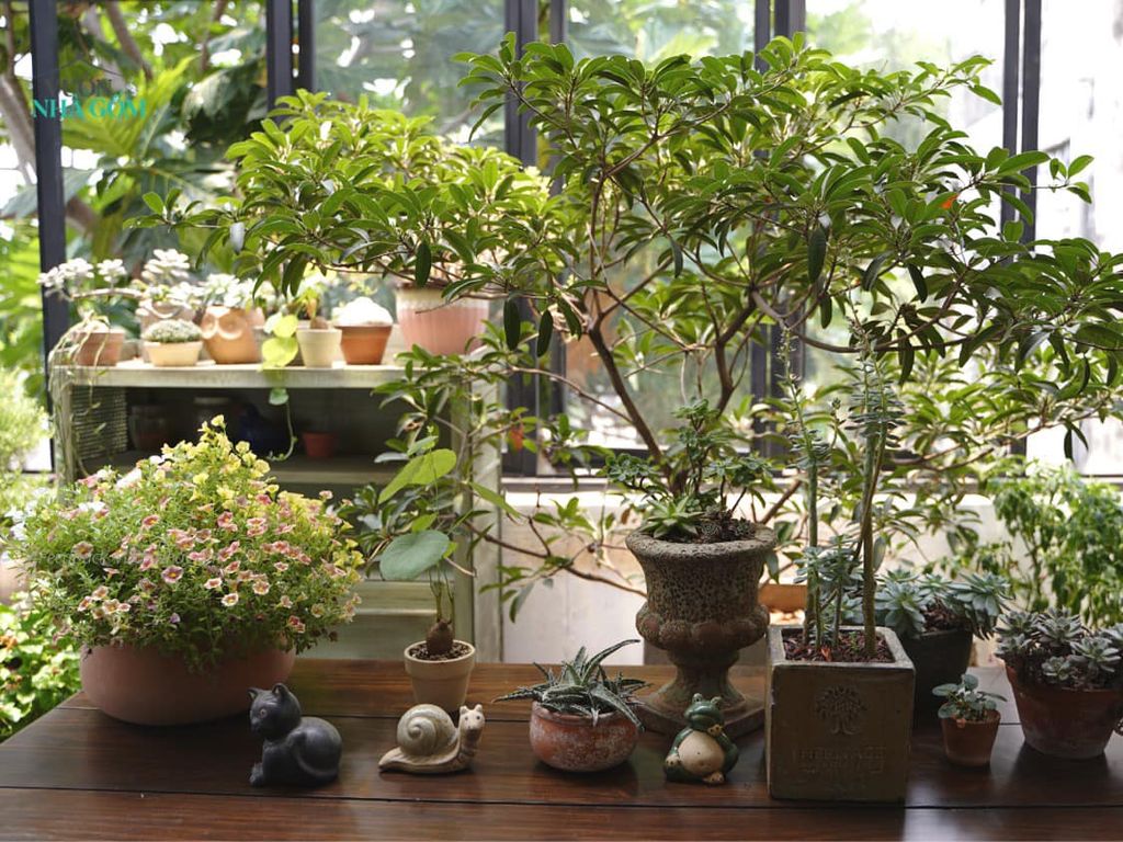 Góc Feedback | Sản phẩm gốm trang trí của Vườn tại Vườn nhà khách hàng