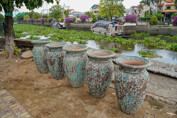 Tại sao Chóe nước của Vườn lại luôn được khách hàng săn tìm?