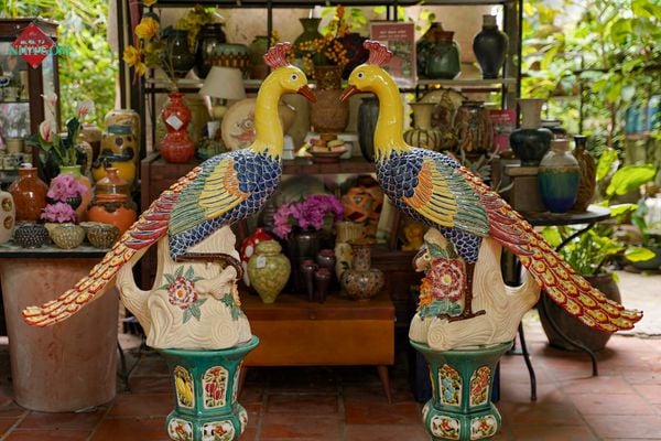 Khổng tước - Vũ điệu của sự cao quý và tái sinh