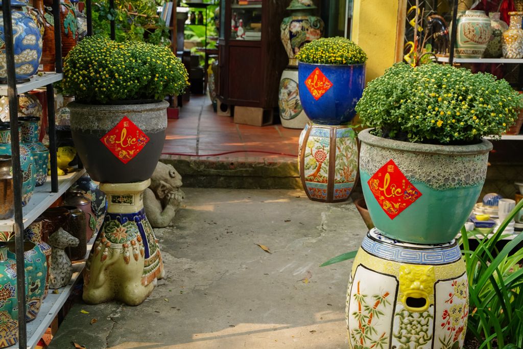 MANG TẾT VỀ NHÀ cùng Cúc mâm xôi và Gốm Nam Bộ