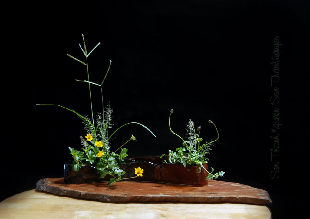 Sản phẩm học viên dài hạn - Tự tay làm những bình hoa yêu thích và cắm hoa ikebana