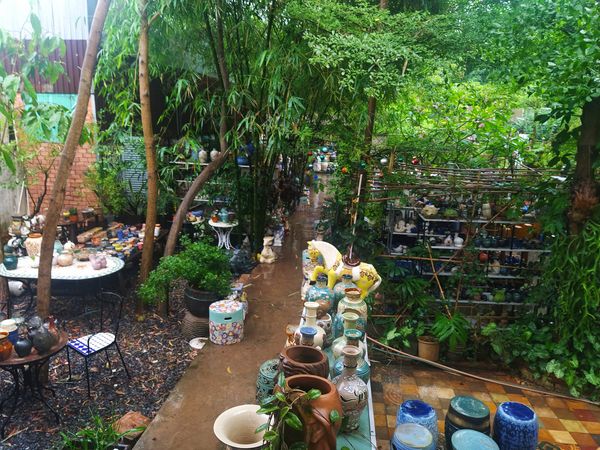 Một ngày tại Vườn | Không gian Vườn Nhà Gốm sau cơn mưa chiều