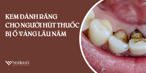Kem Đánh Răng Cho Người Hút Thuốc Bị Ố Vàng Lâu Năm: Giải Pháp Từ Kem Đánh Răng Thảo Dược Heebee’s