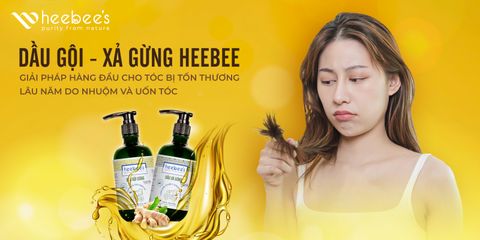 Giải Pháp Hàng Đầu Cho Tóc Bị Tổn Thương Lâu Năm Do Nhuộm Và Uốn Tóc
