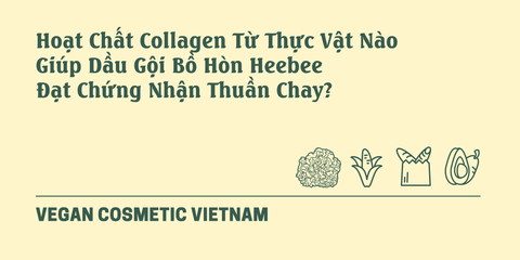 Hoạt Chất Collagen Từ Thực Vật Nào Giúp Dầu Gội Bồ Hòn Heebee Đạt Chứng Nhận Thuần Chay?