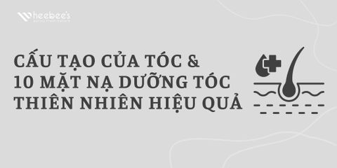 Cấu Tạo Của Tóc Và 10 Mặt Nạ Dưỡng Tóc Thiên Nhiên Hiệu Quả Nhất