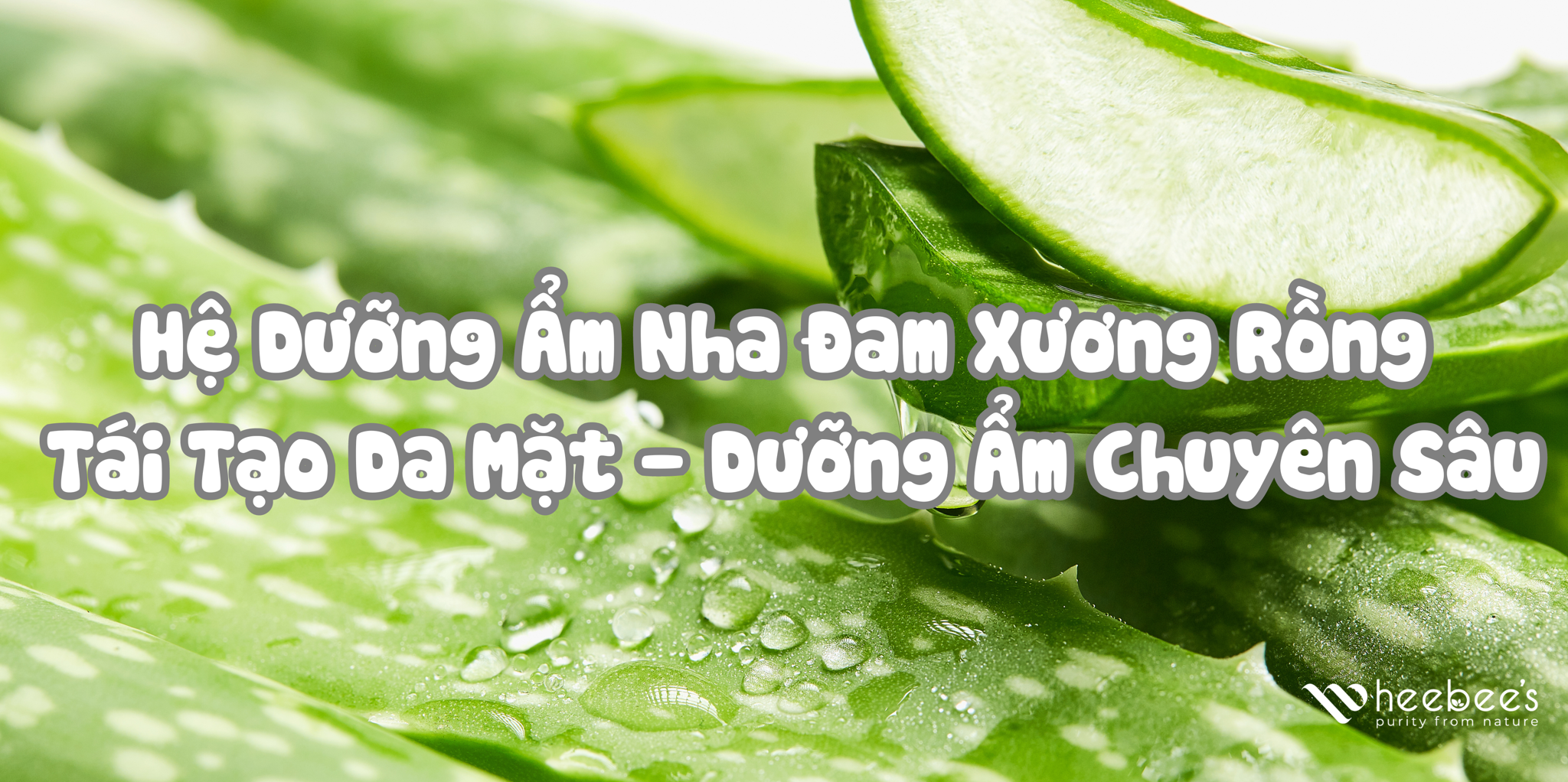 Hệ Dưỡng Ẩm Nha Đam Xương Rồng - Tái Tạo Da Mặt - Dưỡng Ẩm Chuyên Sâu Hệ Dưỡng Ẩm Nha Đam Xương Rồng - Tái Tạo Da Mặt - Dưỡng Ẩm Chuyên Sâu