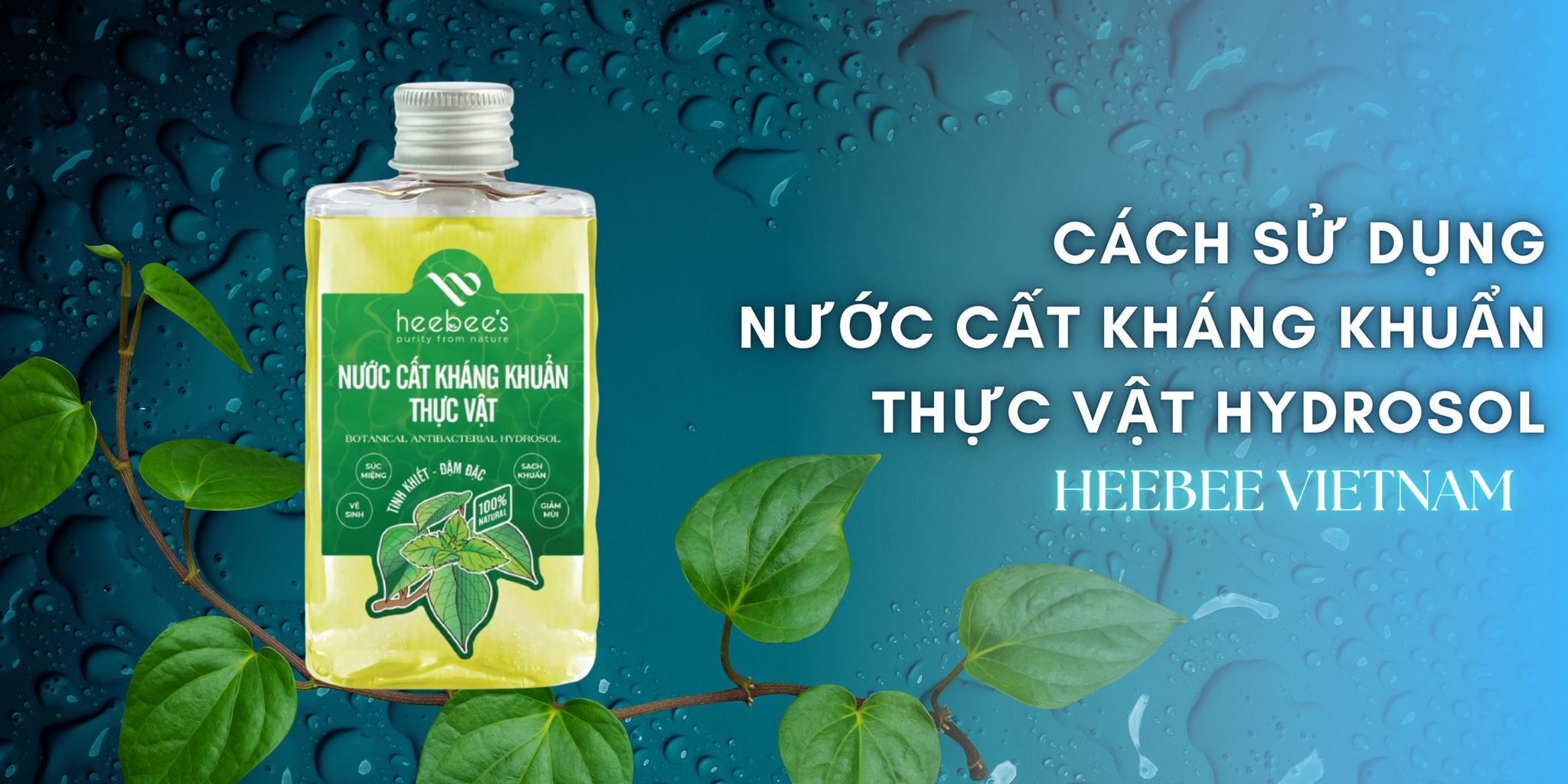 Cách Sử Dụng Nước Cất Kháng Khuẩn Thực Vật Hydrosol