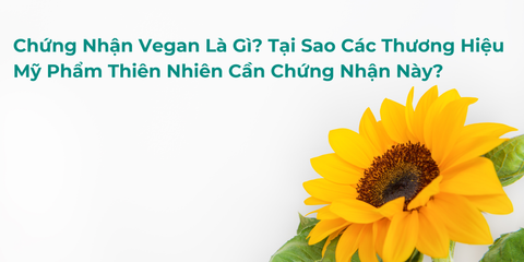 Chứng Nhận Vegan Là Gì? Tại Sao Các Thương Hiệu Mỹ Phẩm Thiên Nhiên Cần Chứng Nhận Này?