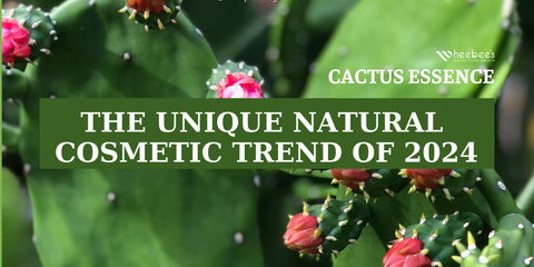Cactus Essence – The Unique Natural Cosmetic Trend of 2024