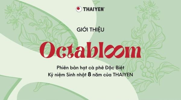 Octa Bloom - Hành trình 8 năm nở hoa