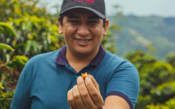 Hạt cafe Colombia Pink Bourbon - El Mirador