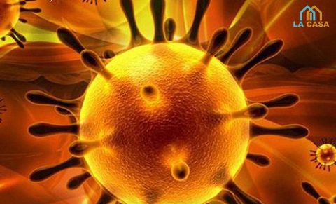 THÔNG BÁO KHẨN VỀ BỆNH VIÊM ĐƯỜNG HÔ HẤP CẤP DO VIRUS CORONA